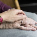 Donation de son vivant : les abattements 2026 pour transmettre sans droits
