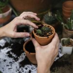 Que faire à la retraite ? Nos idées d'activités pour des journées épanouies