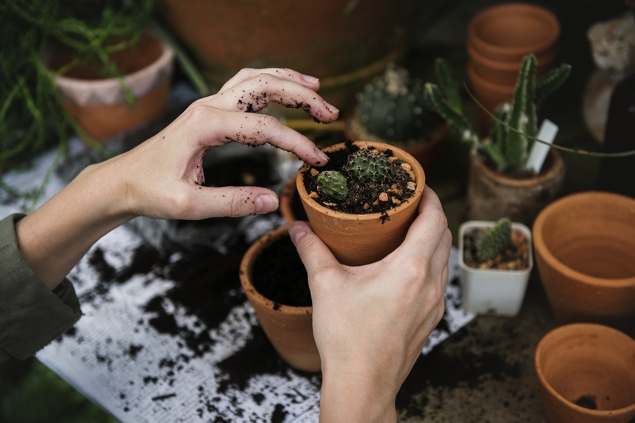 Que faire à la retraite ? Nos idées d&rsquo;activités pour des journées épanouies